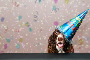 10 New Year’s Resolutions for Your Puppy