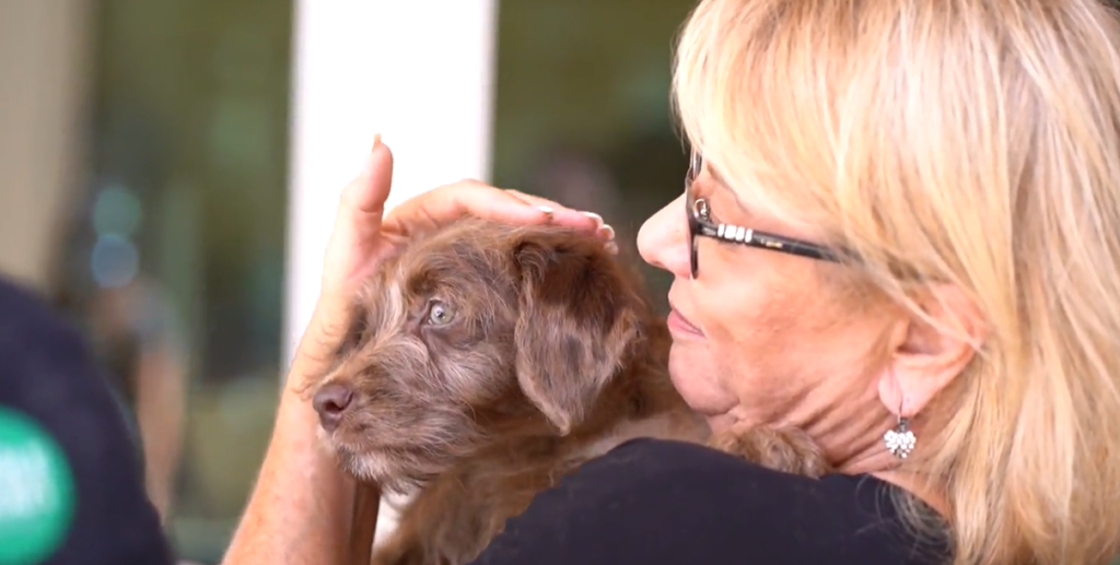 Woman kissing a cute puppy at puppy therapy event at Whole Foods Market.