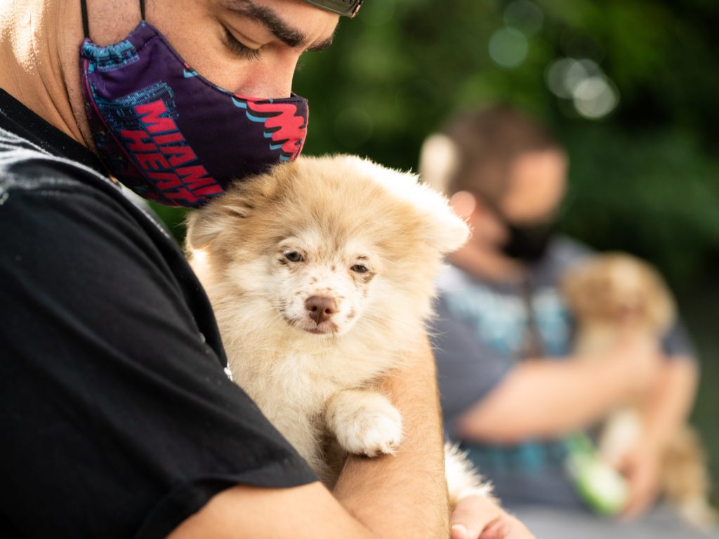 A volunteer from Petland Pembroke Pines holding a cute puppy at the WOW Center.