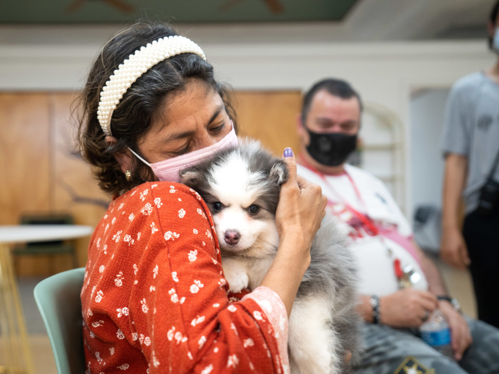 A woman from WOW Center Miami cuddles a cute Pomsky puppy from Petland Pembroke Pines.